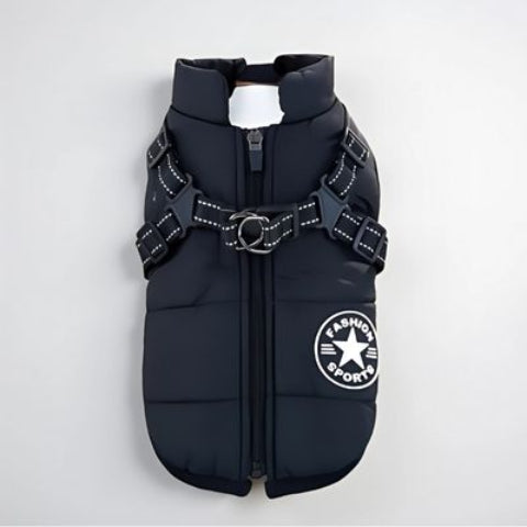 harnais chien hiver manteau noir elegant