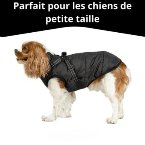 harnais chien hiver noire petite taille