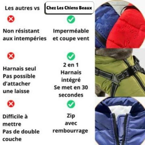 harnais chien hiver rouge caracteristique