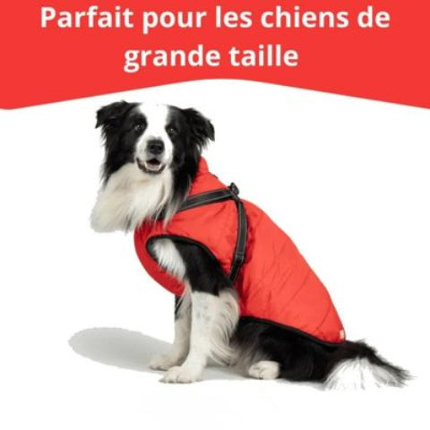 harnais chien hiver rouge grande taille