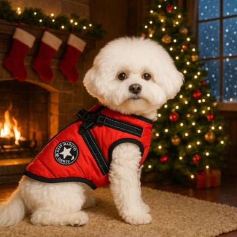 harnais chien hiver rouge tres adorable