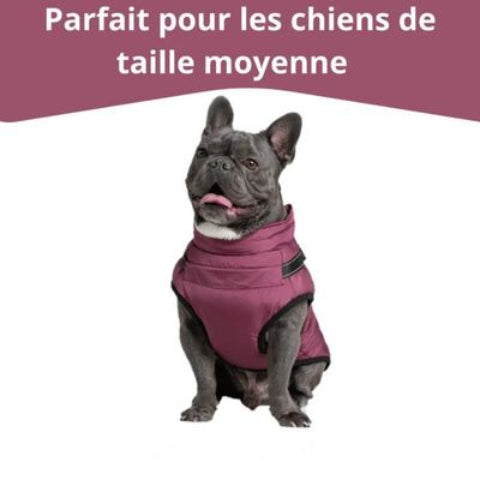 harnais chien hiver violet taille moyenne