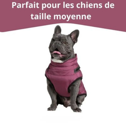 harnais chien hiver violet taille moyenne
