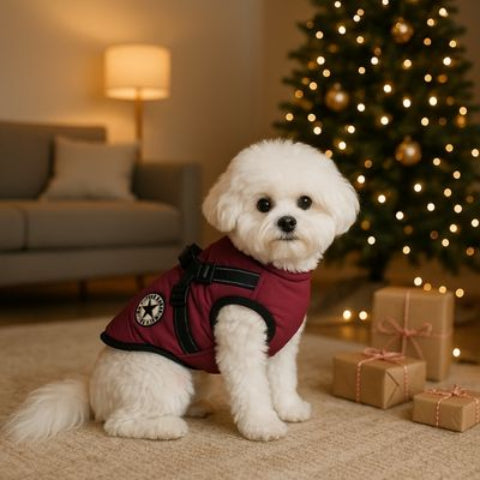 harnais chien hiver violet tres durable