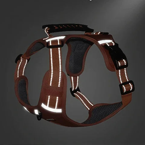 harnais chien laisse anti traction lumineux