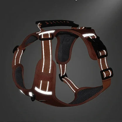 harnais chien laisse anti traction lumineux