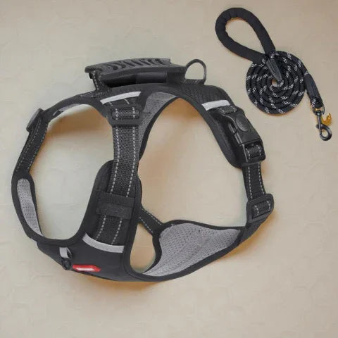 harnais chien laisse anti traction noir