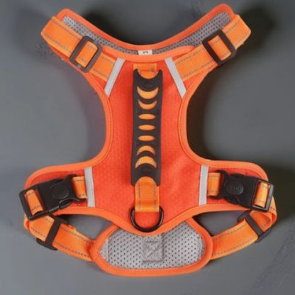 harnais chien laisse anti traction orange efficace
