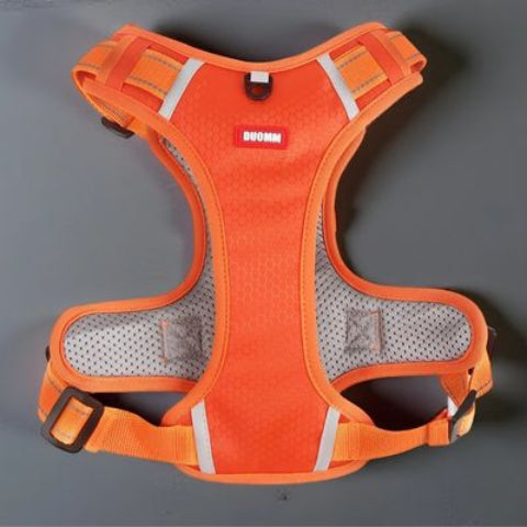 harnais chien laisse anti traction orange essentiel