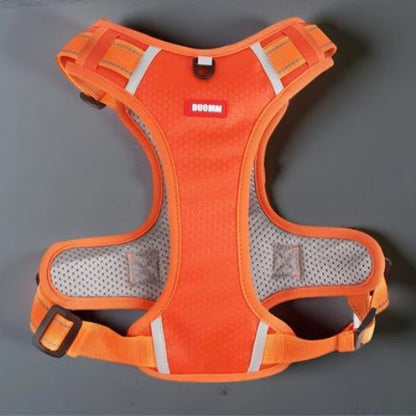 harnais chien laisse anti traction orange essentiel