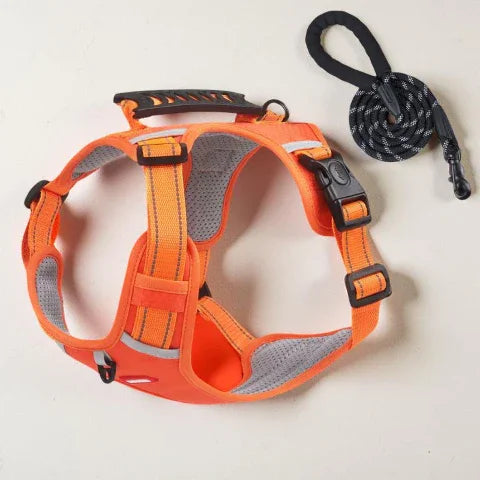 harnais chien laisse anti traction orange