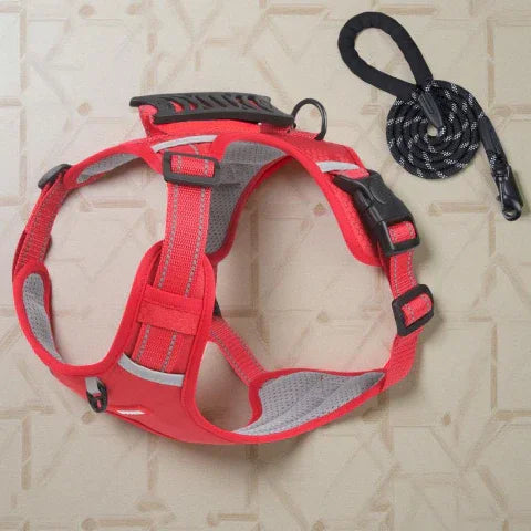 harnais chien laisse anti traction rouge