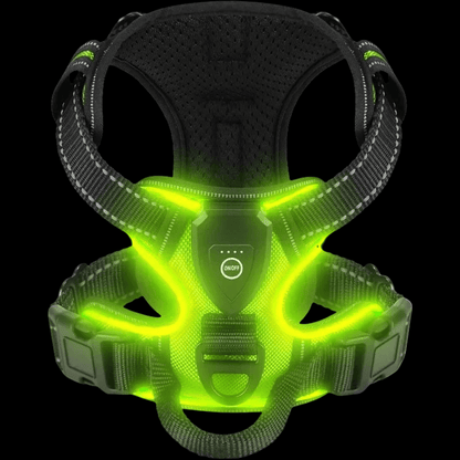 HARNAIS CHIEN | LED LUMINEUX - Les chiens beaux