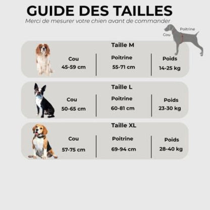 harnais chien militaire guide des tailles