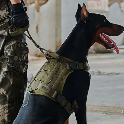 HARNAIS CHIEN MILITAIRE | TACTICONTROL - Les chiens beaux