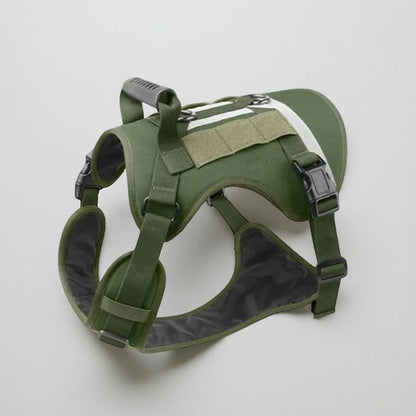 Harnais militaire pour chien | Nightsafe™