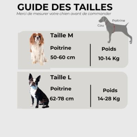 harnais chien sangle de poitrine guide des tailles
