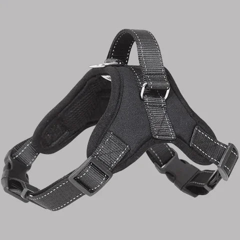 harnais chien sangle de poitrine noir