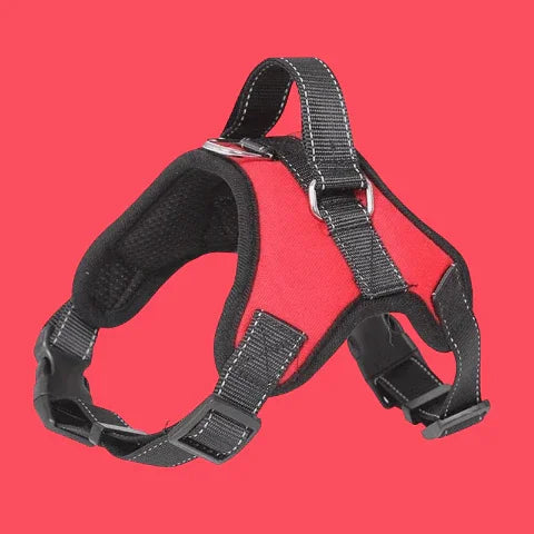 harnais chien sangle de poitrine rouge