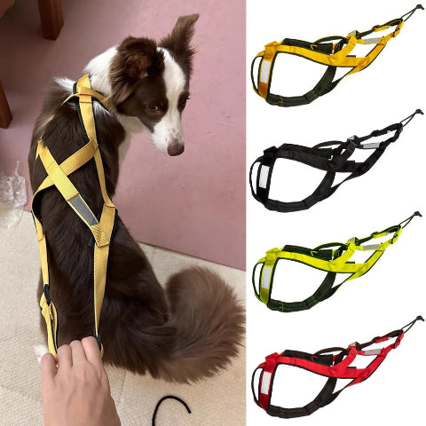 harnais chien servidog impermeable pour traineau