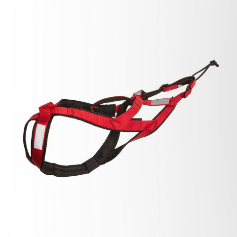harnais chien servidog pour traineau rouge