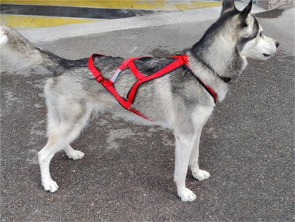 harnais chien servidog robuste pour traineau