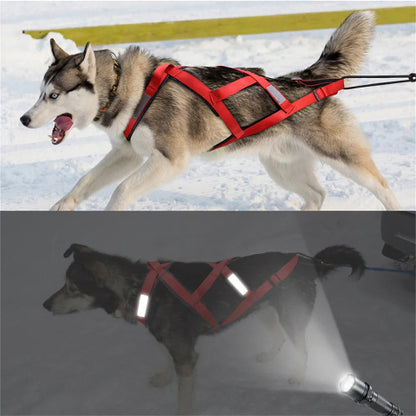 harnais chien servidog visible pour traineau