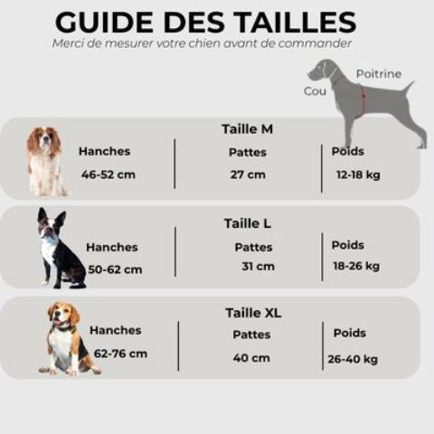 harnais chien support de pattes arriere Guide des tailles