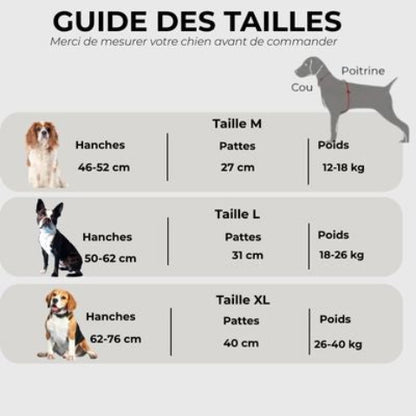 harnais chien support de pattes arriere Guide des tailles
