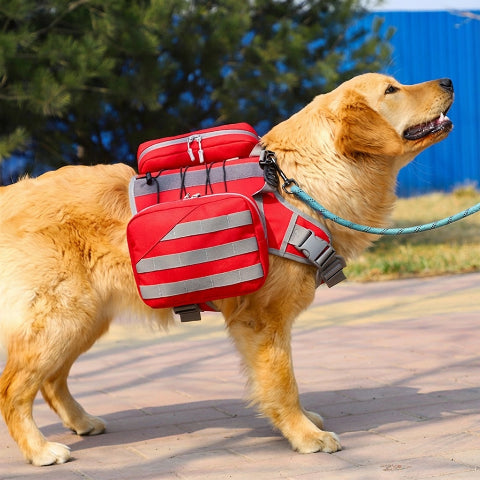 harnais chien tactique 2 en 1