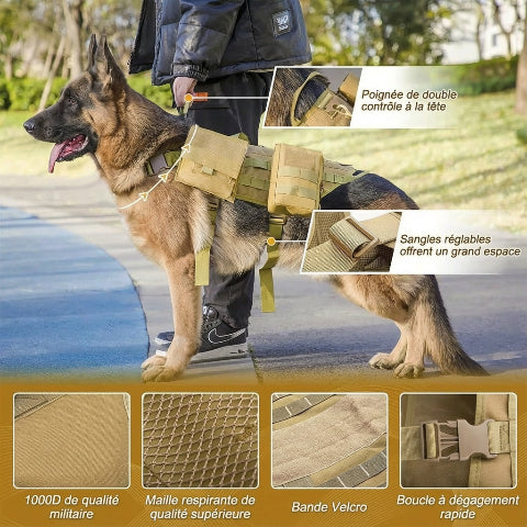 harnais chien tactique a poignee renforcee