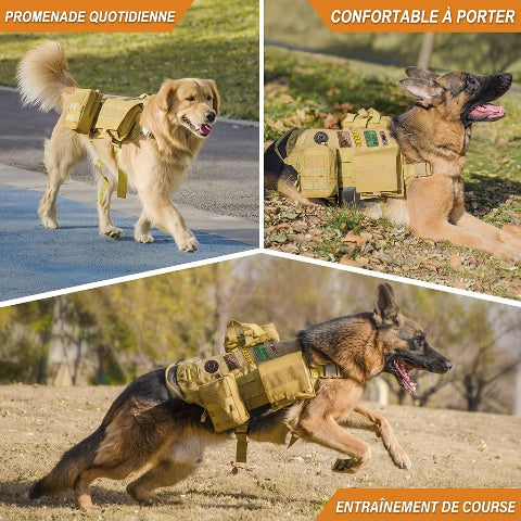 harnais chien tactique a sangles epaisses