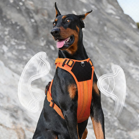 harnais chien tactique ajustable en quelques secondes