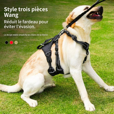 harnais chien tactique anti evasion