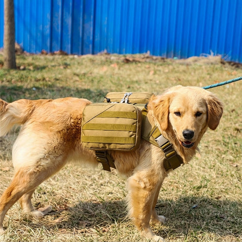 harnais chien tactique avec anneau anneau en D