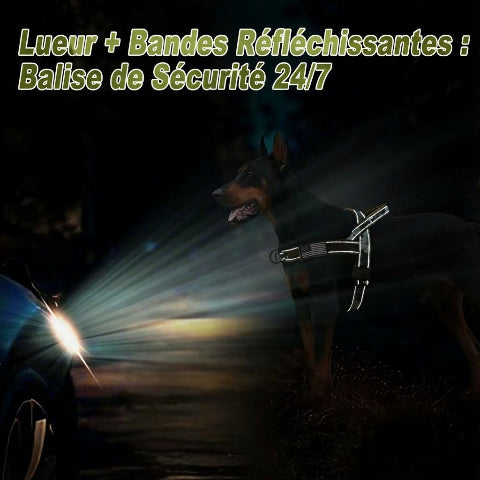 harnais chien tactique avec bandes reflechissantes