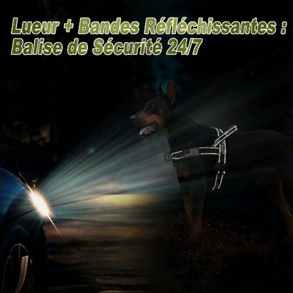 harnais chien tactique avec bandes reflechissantes