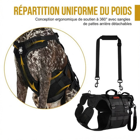 harnais chien tactique avec conception enveloppante