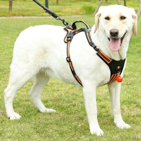 harnais chien tactique avec materiaux respirants