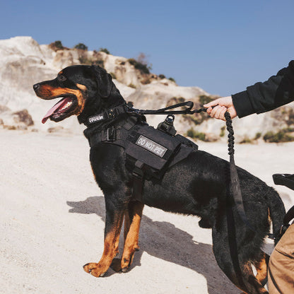 harnais chien tactique avec sangles en nylon doux