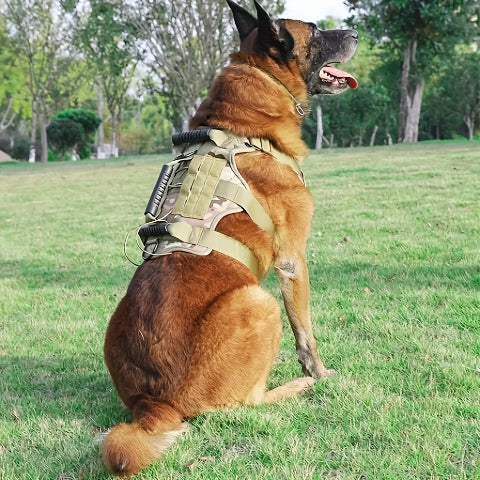 harnais chien tactique avec syteme anti traction robuste