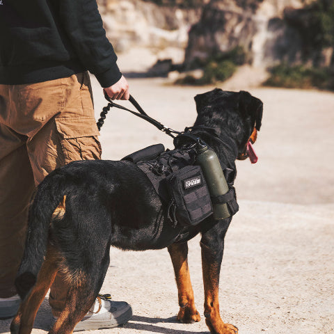 harnais chien tactique avec systeme anti traction