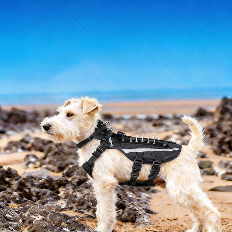 harnais chien tactique avec systeme de reglage fluide