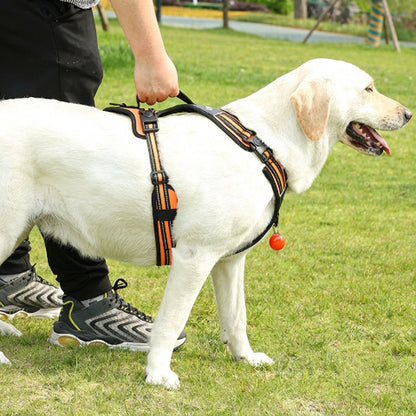 harnais chien tactique avec systeme ingenieux