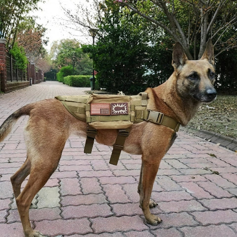 harnais chien tactique avec un systeme de fixation rapide