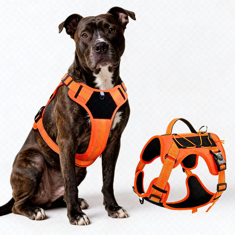 harnais chien tactique confort canin