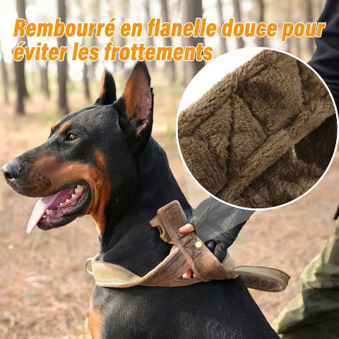 harnais chien tactique evitant les frottements