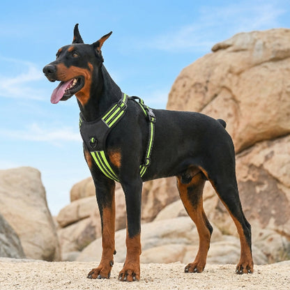 harnais chien tactique gilet rembourre