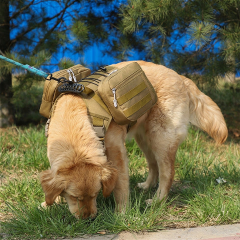 harnais chien tactique liberte de votre chien