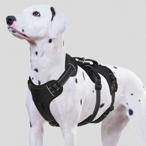 harnais chien tactique anti choc